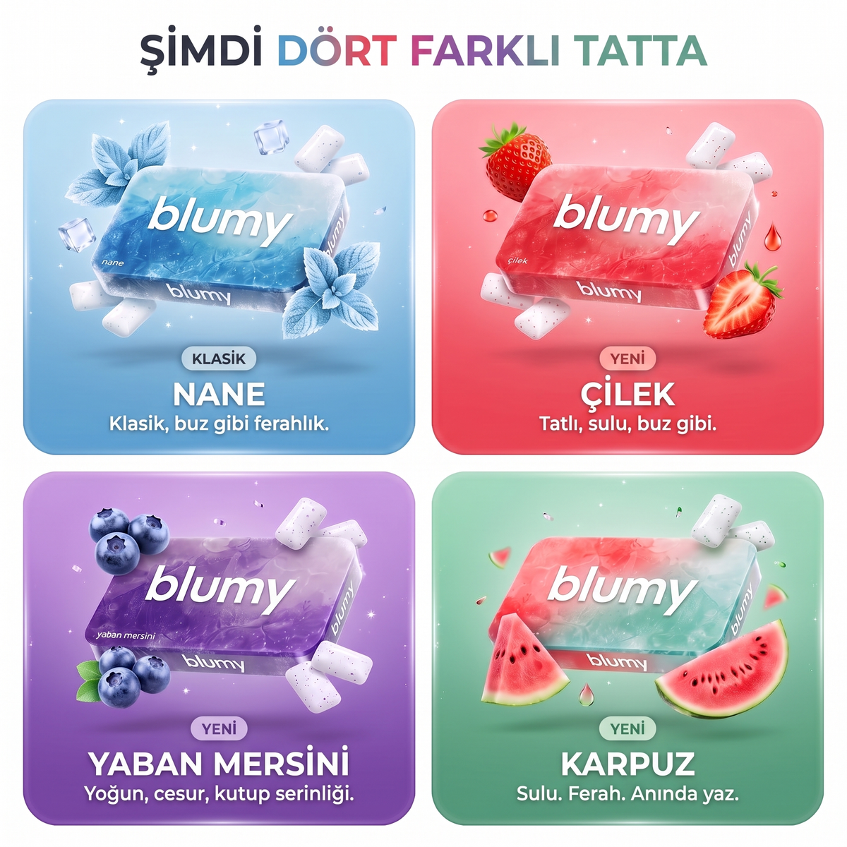 Blumy Premium Sakız