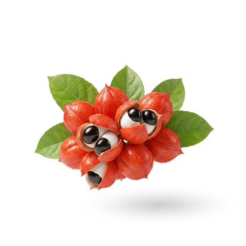 Guarana Ekstresi