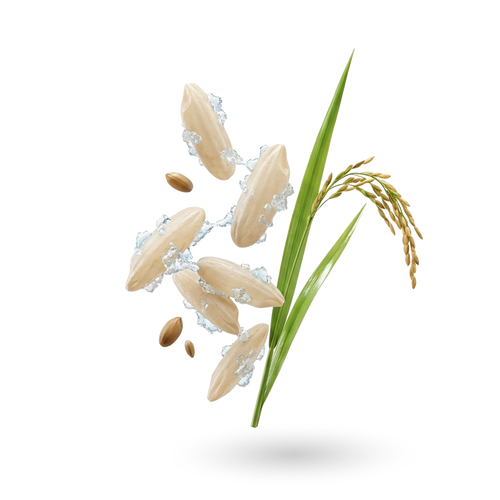 Sodyum Fitat